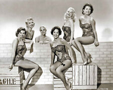 1955 GOLDWYN GIRLS Beautiful Actresses Chorus Girls - Guys and Dolls Promo Photo picture