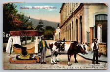 MADEIRA Funchal, Carro de bois, Portugal Ox Cart c1910s Vintage Postcard picture
