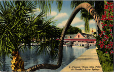 Vintage 1940s Famous Horse Shoe Palm at Silver Springs Florida FL Postcard  picture