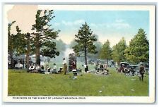 c1920's Picnikers On The Summit Of Lookout Mountain Denver Colorado CO Postcard picture