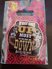 Disney Splash Mountain What Goes Up Must Come Down Pin New Attraction Ride Pin picture
