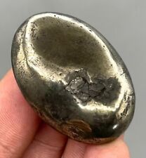 194 Carats Attractive  Rare New Discover Marcasite Palm@Afghanistan picture